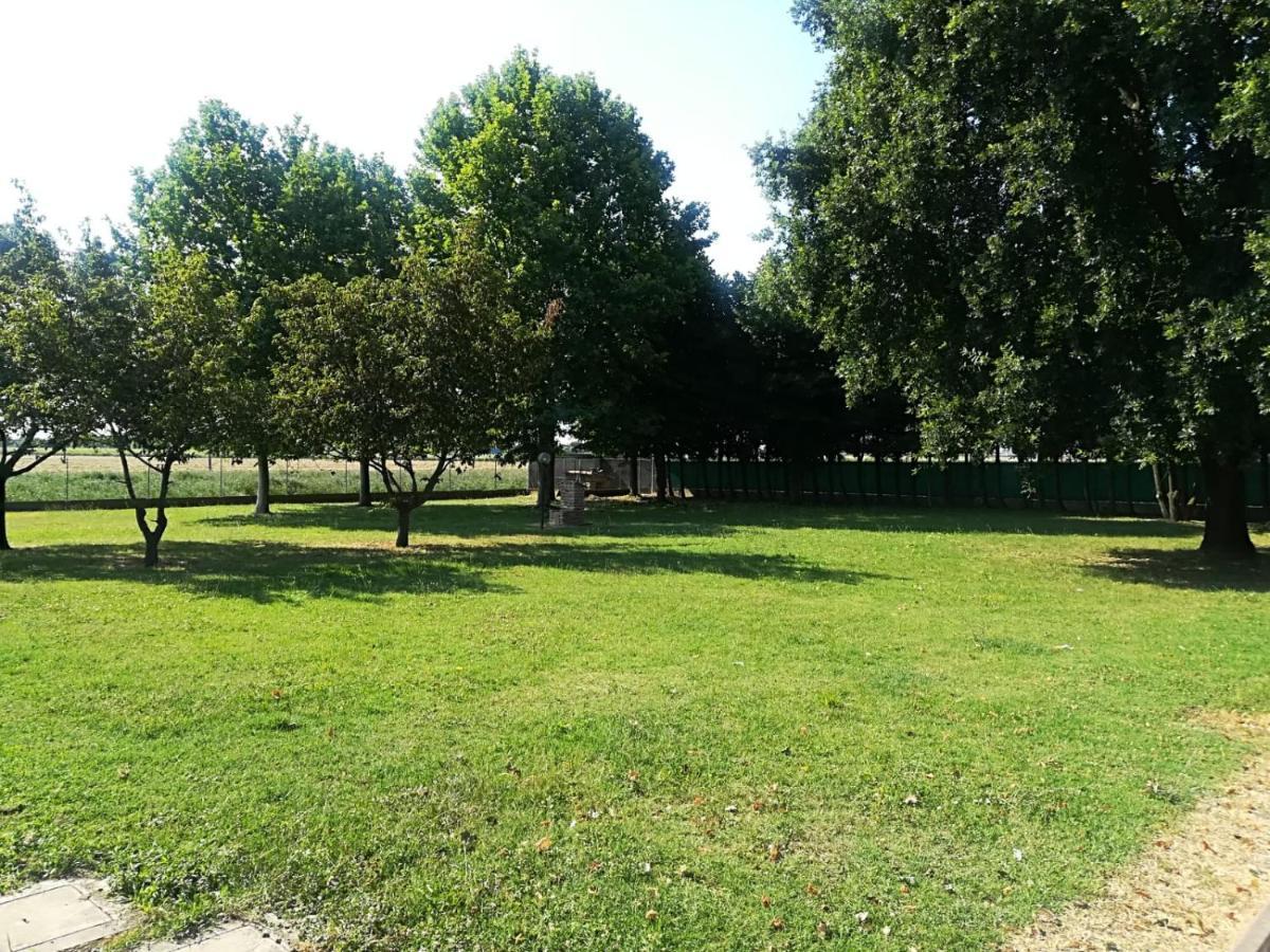 Tenuta Madiba * Ravenna