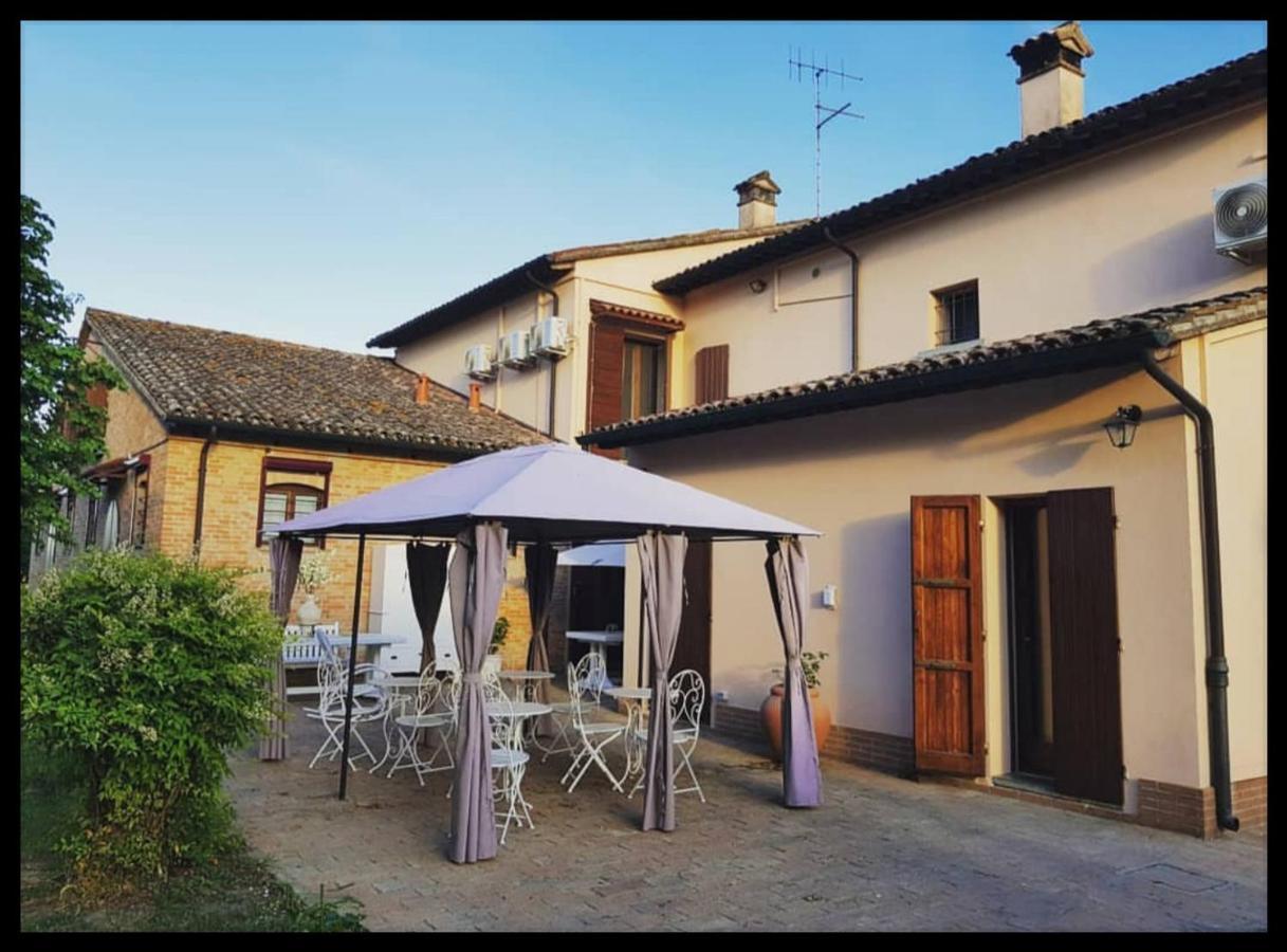 Tenuta Madiba